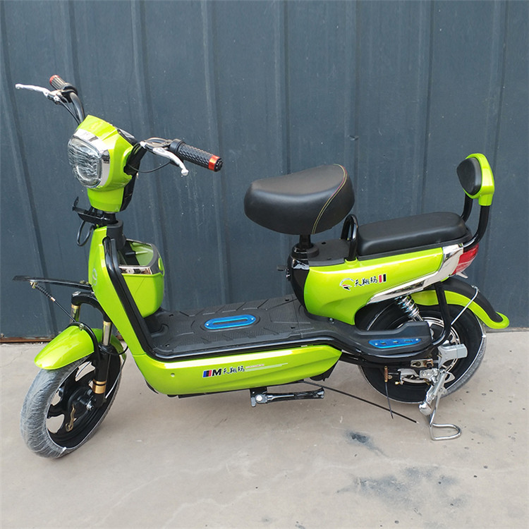 厂家批发金丝猴电动车小型48v电瓶车电动自行车成人电动车代步车