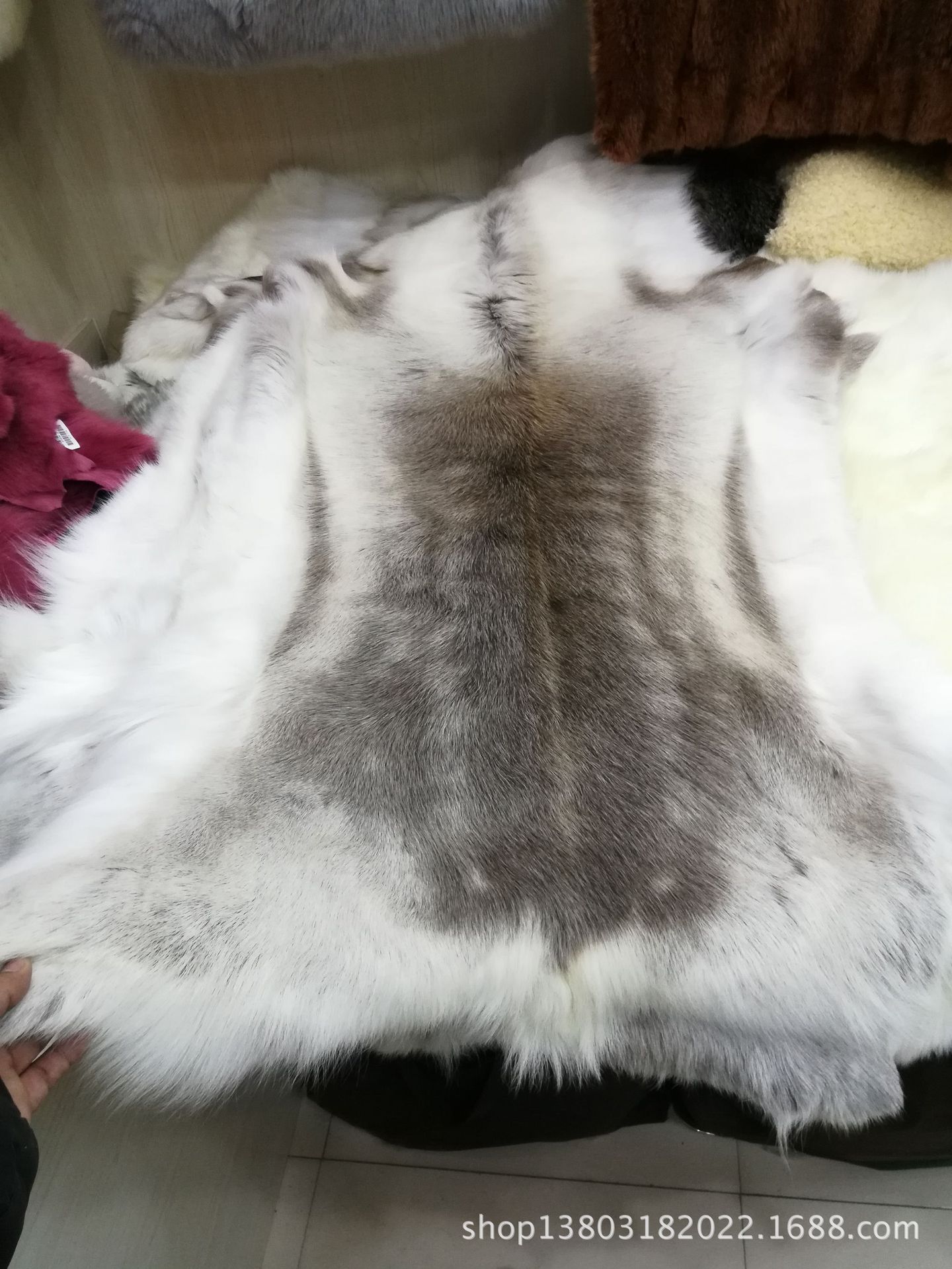 天然美国白尾鹿皮毛一体 家居装饰真鹿皮毛 野生真皮鹿皮服装