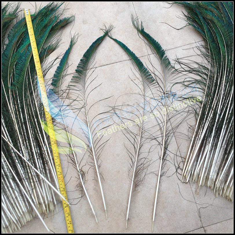 厂家销售孔雀毛孔雀剑 孔雀刀翎 边毛全系尺寸均有现货60-70cm