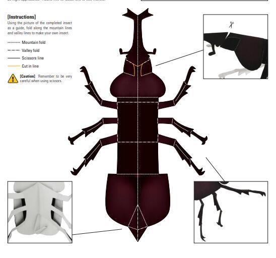 独角仙昆虫纸模型 3d手工diy 幼儿园折纸 学生活动折纸 亲子diy