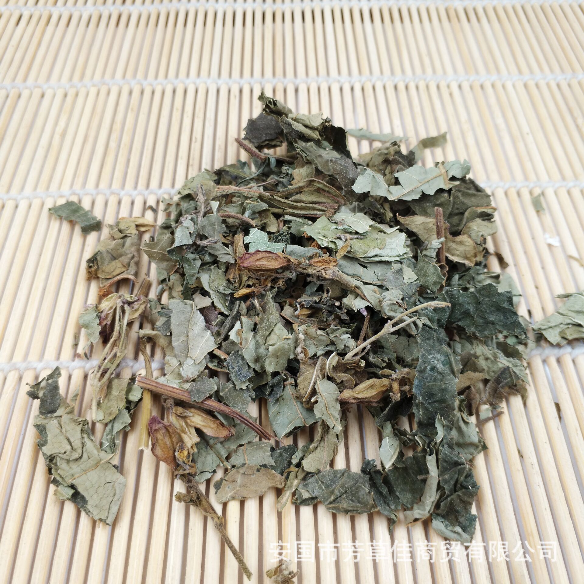 批发中药材臭梧桐叶 八角梧桐 山梧桐 臭桐柴