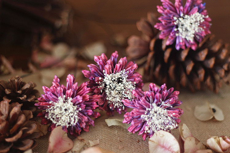 【矢车菊】清新浪漫真花干花矢车菊菊花家居装饰艺术干花花束花插