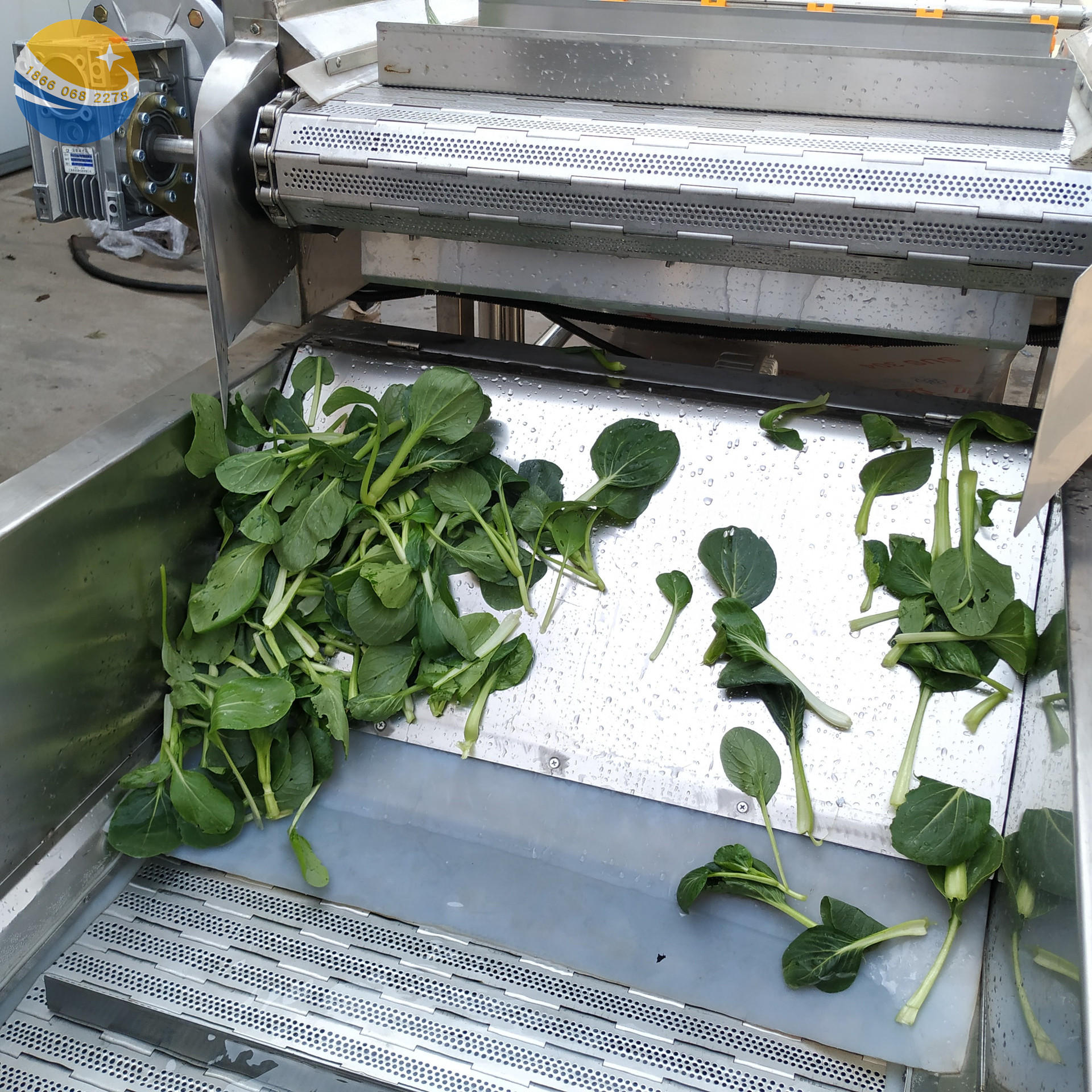洗菜机多少钱 叶类蔬菜气泡自动清洗线 北京菠菜清洗风干去水线 9