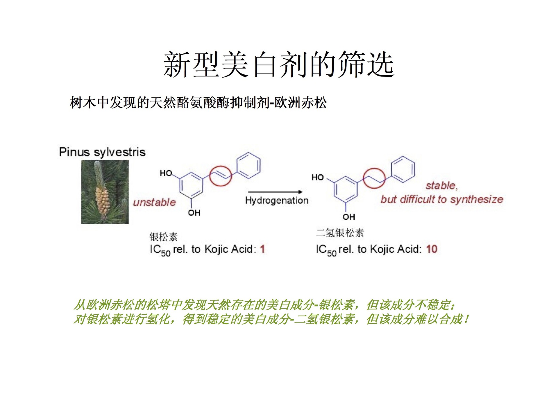 徳之馨 symwhite 377 馨肤白377 苯乙基间苯二酚 10g