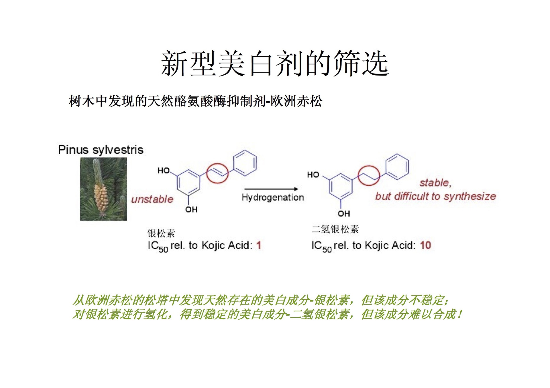 间苯二酚分子量图片