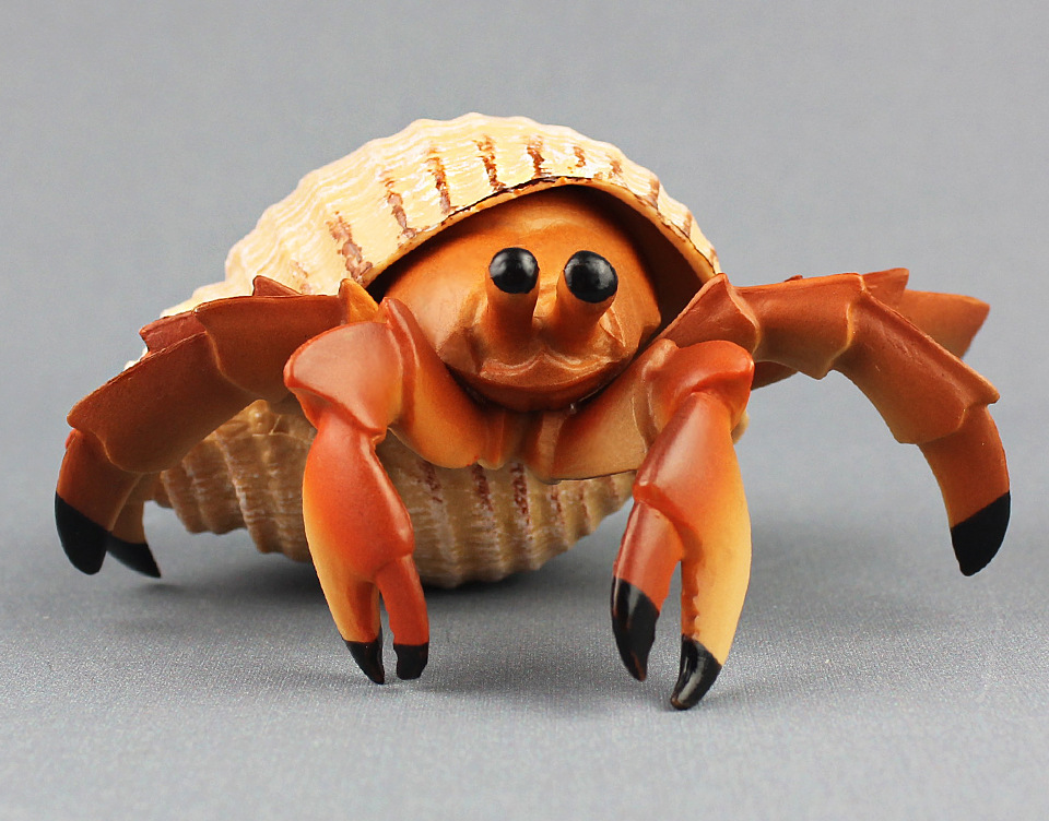 外贸新款欧美寄居蟹海洋生物 仿真模型 实心塑胶儿童认知教育玩具