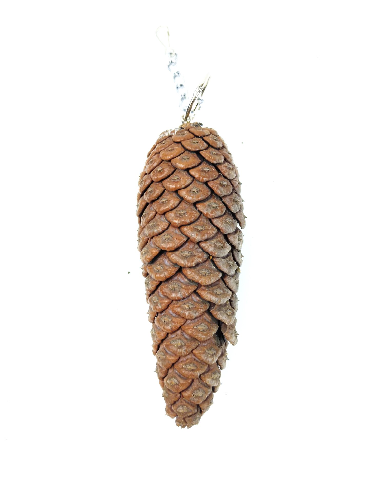 宠玩笑装饰用品大松果球鸟爬梯啃咬玩具鹦鹉千秋站架站杠云梯