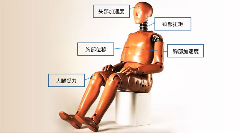 汽车碰撞假人的类型介绍