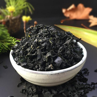 山东裙带菜