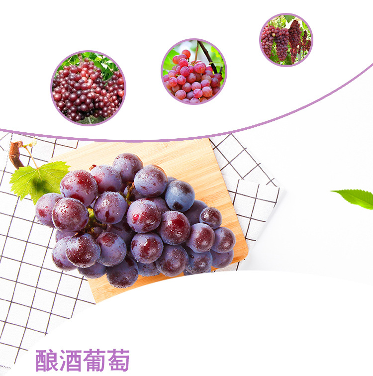 供应新疆弗雷葡萄无籽红提新鲜水果