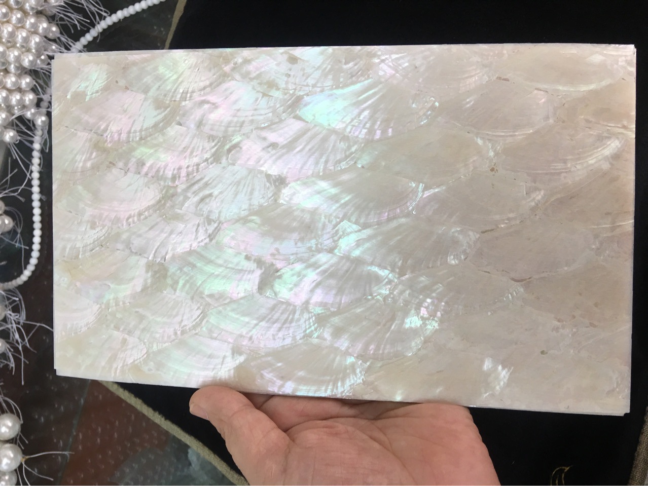 厂家直销贝壳片天然贝壳纸薄片贝皮家具雕花乐器漆画白鲍鱼贝