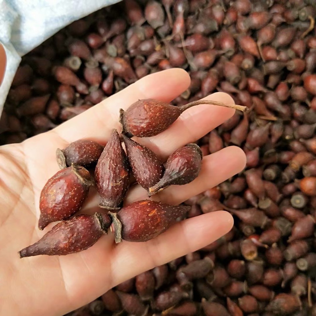 批发金樱子金英子泡酒料每件500克