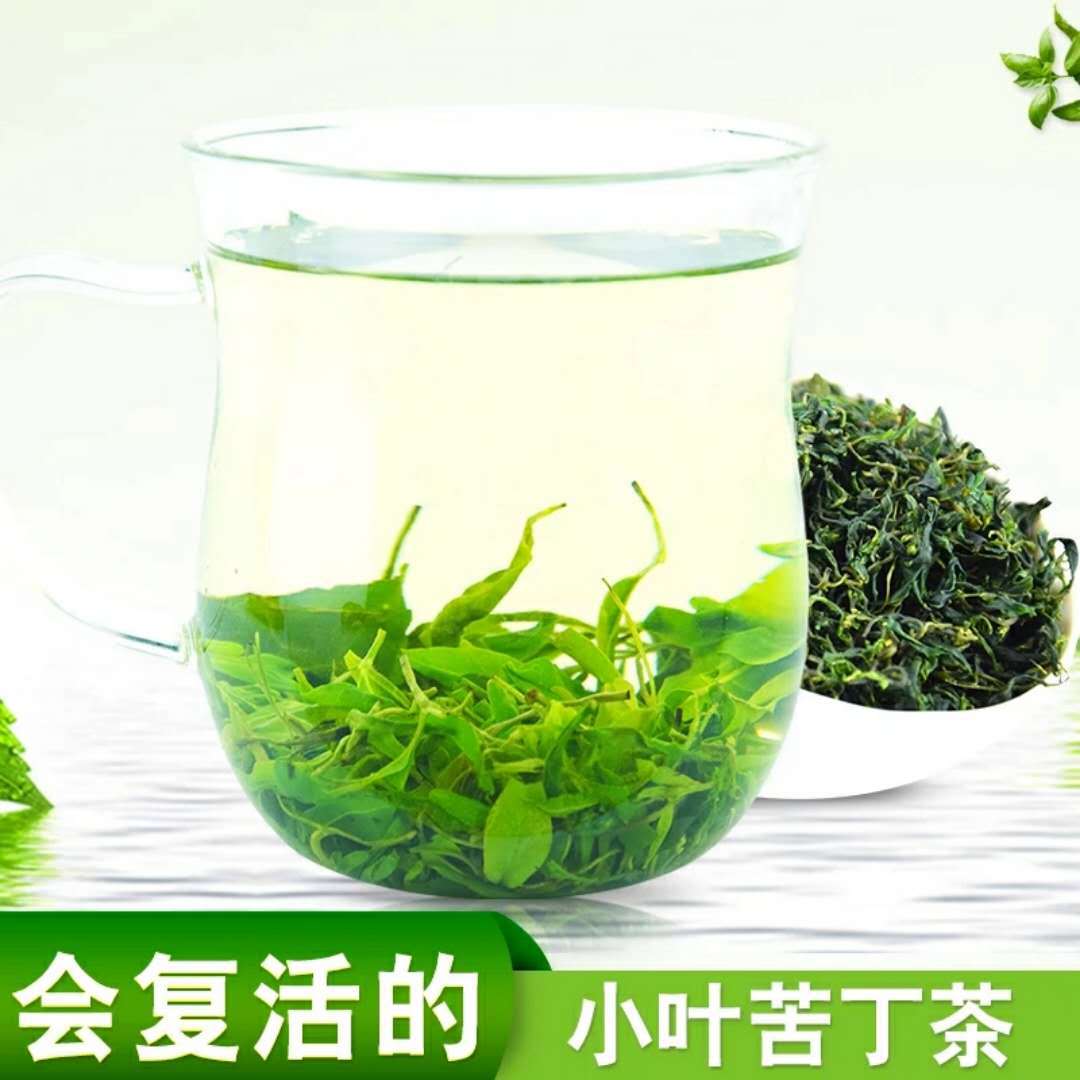 2021苦丁茶毛冬青嫩芽茶叶苦丁茶青山绿水小叶苦丁散装复活茶批发