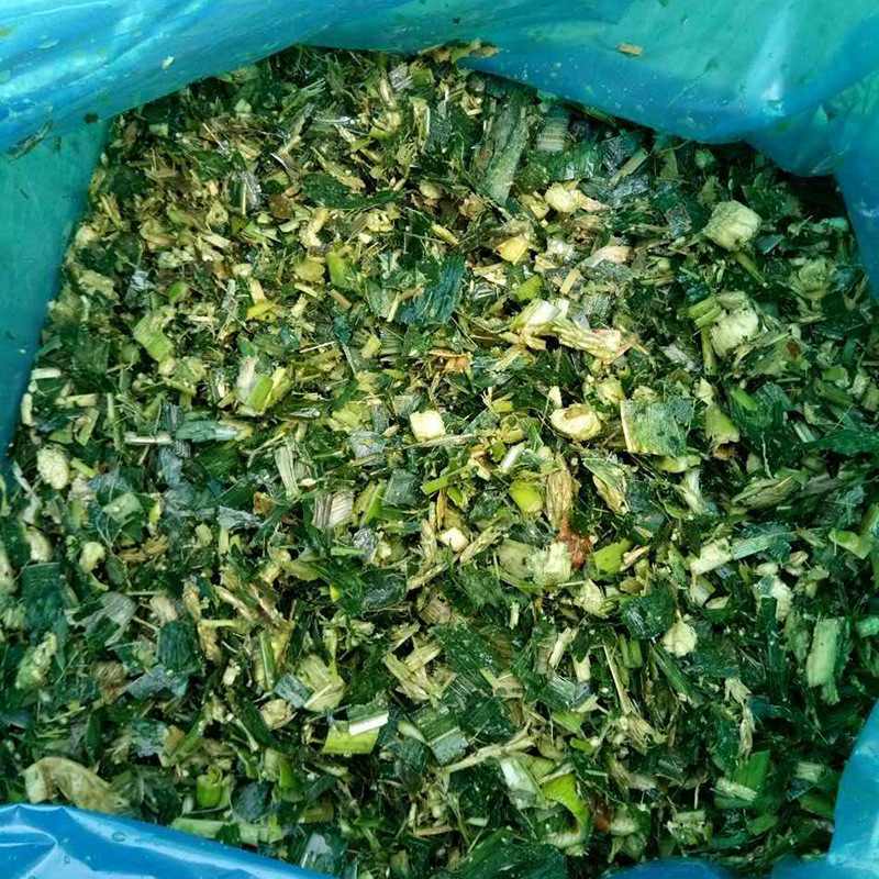 供应玉米秸秆饲料 全株 青储 牛马羊食用植物饲料 玉米秸秆制成