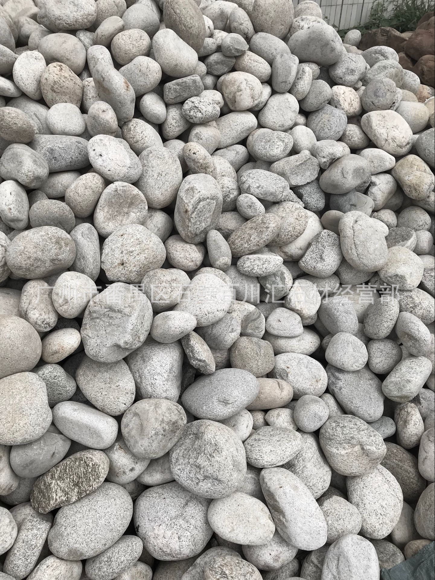 厂家直销 现货批发白麻石米 机制白麻石米 白色花岗岩 白麻石