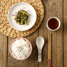 日式和风摆台个人用小套装碗碟勺盘寿司骨碟套装菜盘供应亚马逊