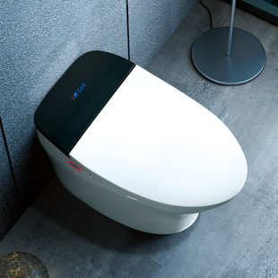 即热家用坐便器遥控全自动翻盖冲水座便电动一体式智能马桶