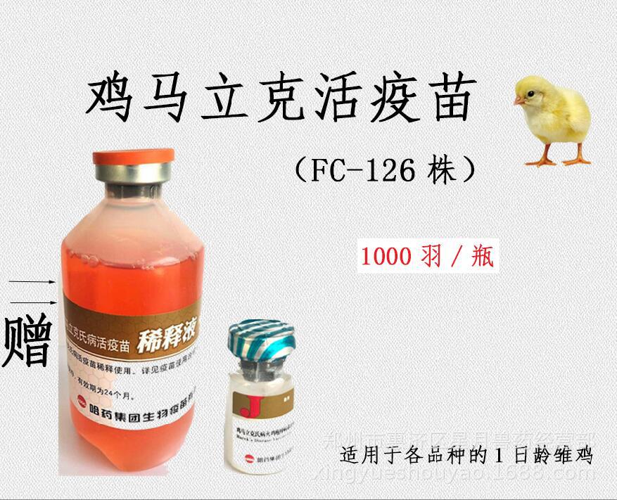 小鸡马立克疫苗 马力克 小鸡出壳打针疫苗 小鸡疫苗一瓶价