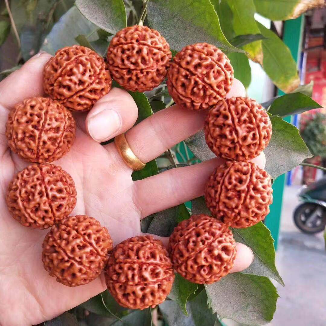 印尼红皮大金刚菩提子手串八8瓣矮桩菩提手链原籽佛珠泥男女饰品