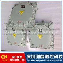 火电厂 锅炉点火系统 20J防爆高能点火器XDH-20B