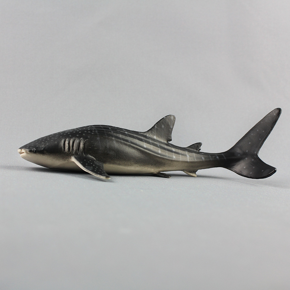 外贸货源速卖通仿真中鲸鲨实心鲨鱼海洋生物模型儿童男孩玩具摆件