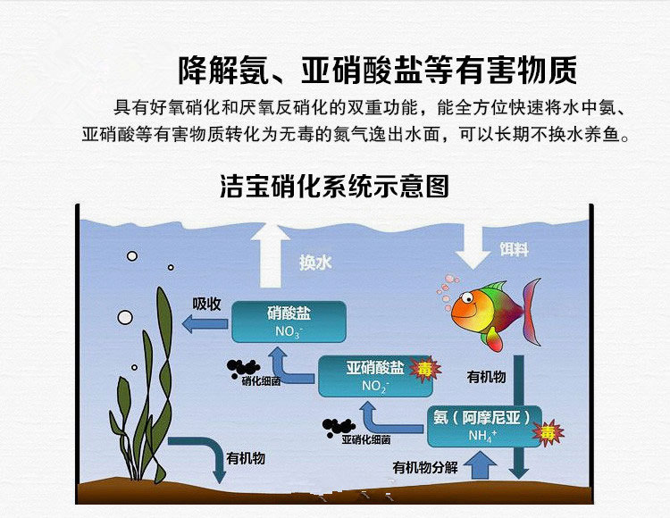 洁宝水族硝化细菌鱼缸em益生菌鱼药干粉消化胶囊水质稳定澄清净水