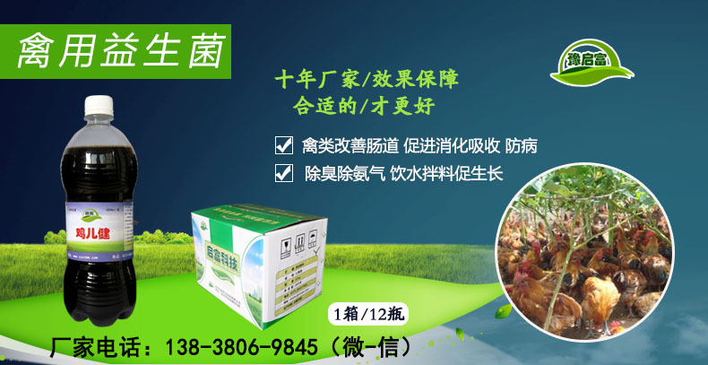 禽用益生菌