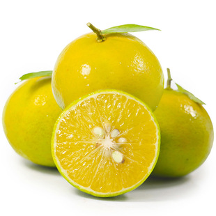 广西皇帝柑贡柑 单果90-150g 新鲜水果批发微商代理一件代发