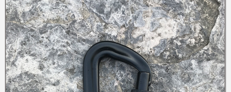 lapard d 型碳钢锁8mm 户外拓展登山攀岩快挂