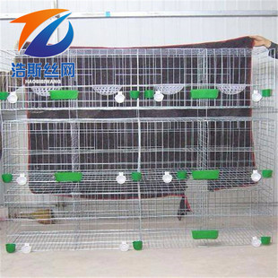 工厂现货生产 鸽子笼批发 养鸽笼子 三四层鸽笼 全新种鸽笼