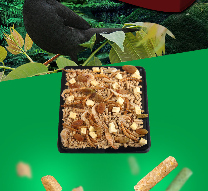 八哥饲料_八哥2lb鸟食八哥饲料 鹩哥鸟粮画眉鸟食批发 - 阿里巴巴