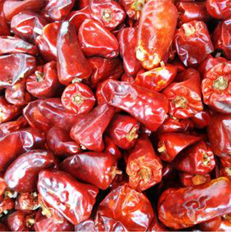 九斗门重庆老火锅 贵州灯笼椒干辣椒海椒火锅专用批发供应
