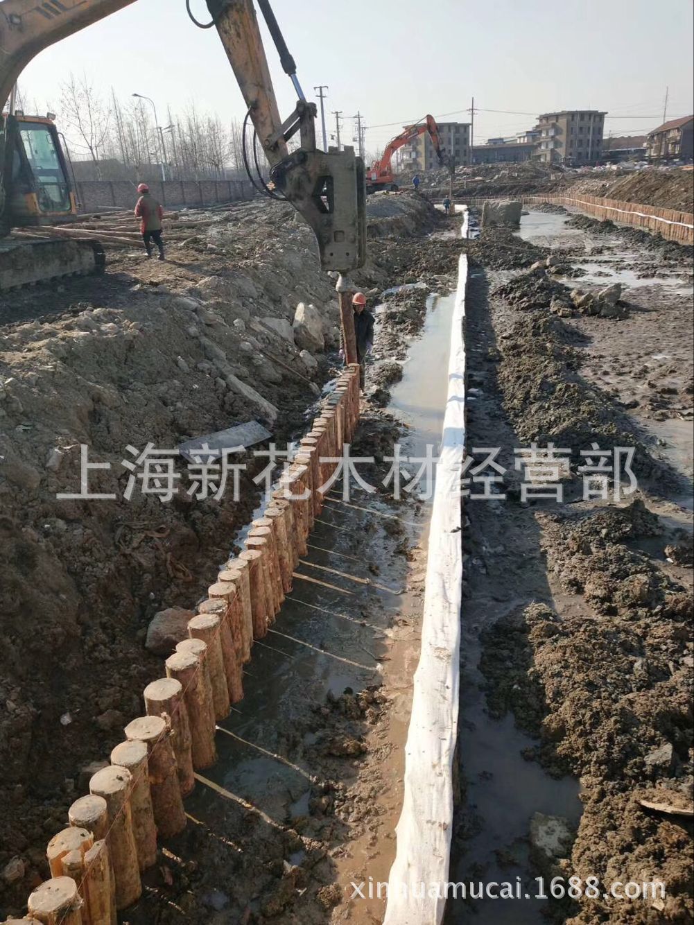 一手货源 优质柳杉原木 优质杉木桩批发 驳岸杉木桩 杉木桩批发