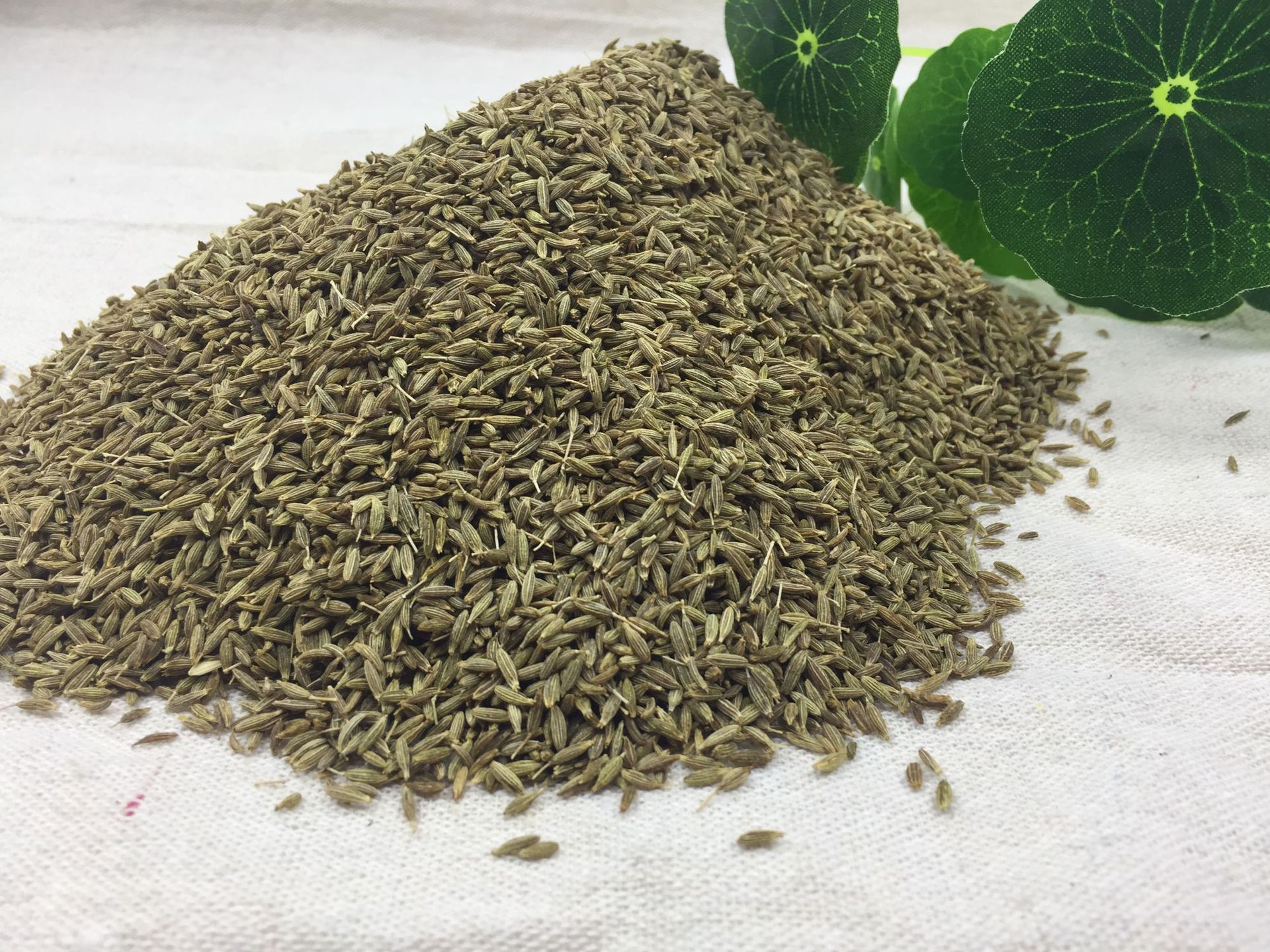 孜然烧烤肉串孜然粉孜然碎散装调料香料新疆孜然粉大量批发