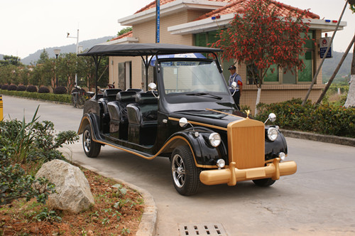 电瓶观光车老爷