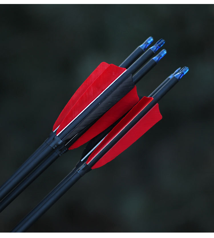 混碳真羽箭箭支 弓箭射箭器材真羽碳箭美猎反曲弓6.2内径可换箭头