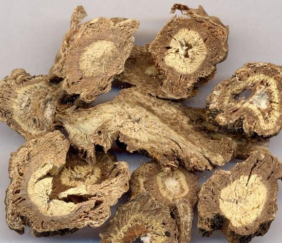 供应独活油 香料油 植物挥发油