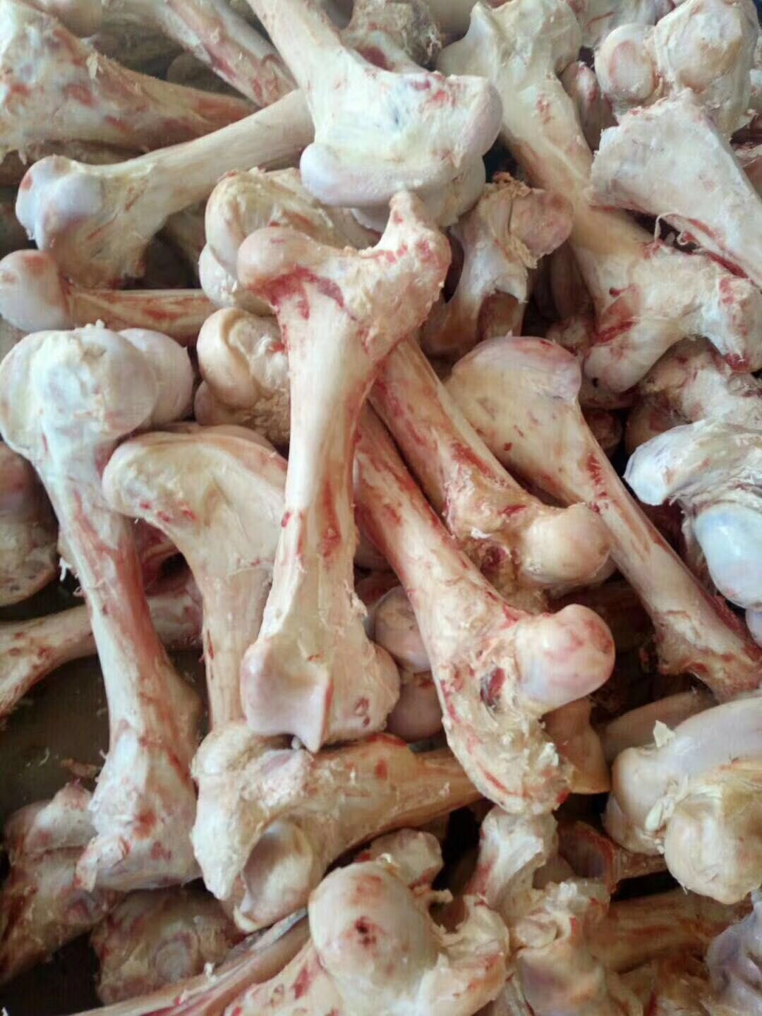 批发牛骨 牛八棒骨  牛砭骨 牛杂骨 牛椎骨  牛脖骨 牛脊骨