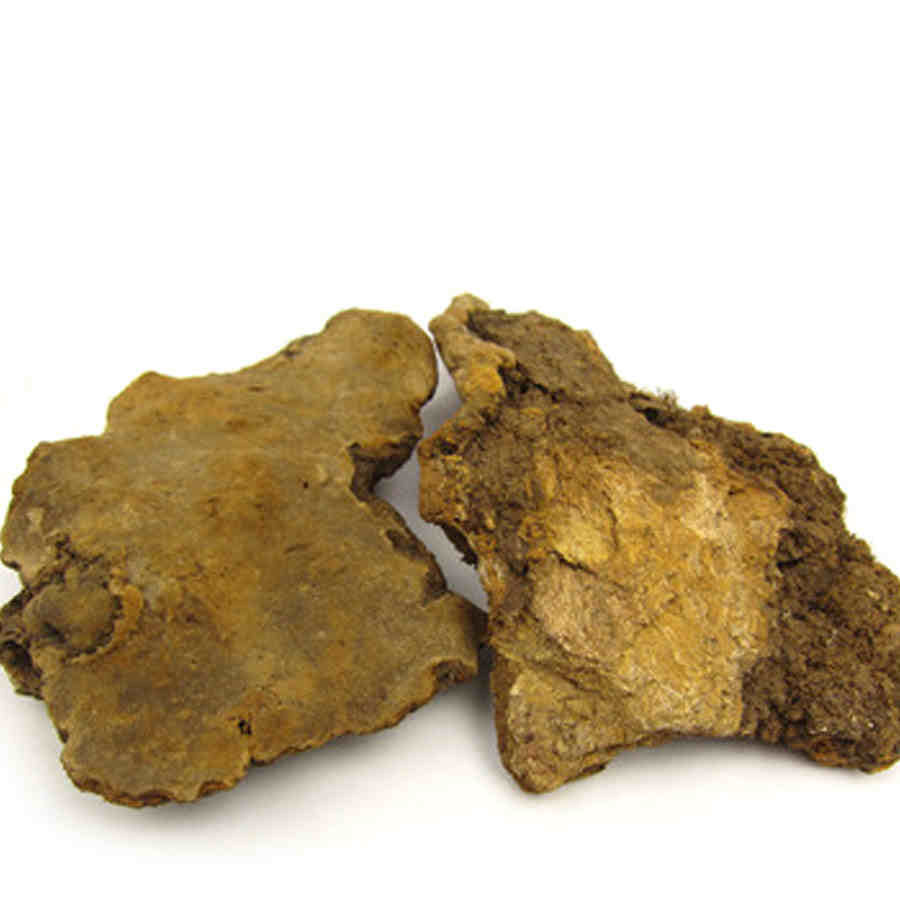 云南斑褐灵芝斑褐孔菌可切片灵芝片