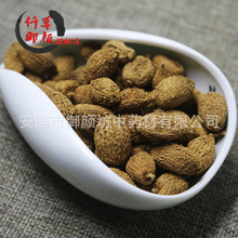 批发销售 壳砂 砂仁1000G 缩砂仁 缩砂蜜