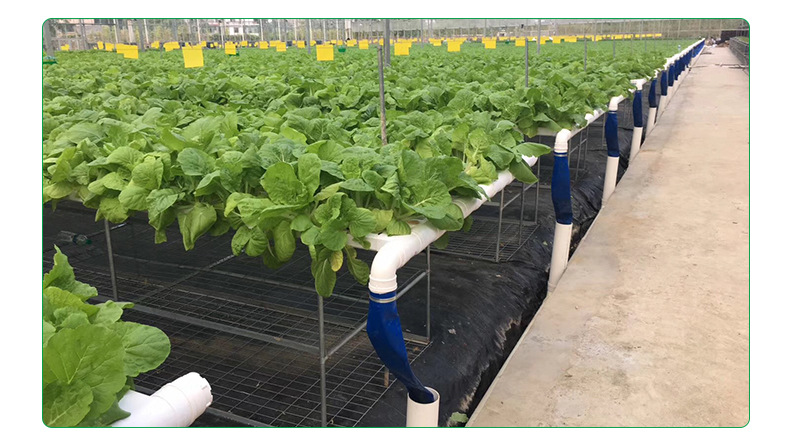 定制大棚专用pvc水培种植方管 75*50 无土栽培基质槽水培管定制