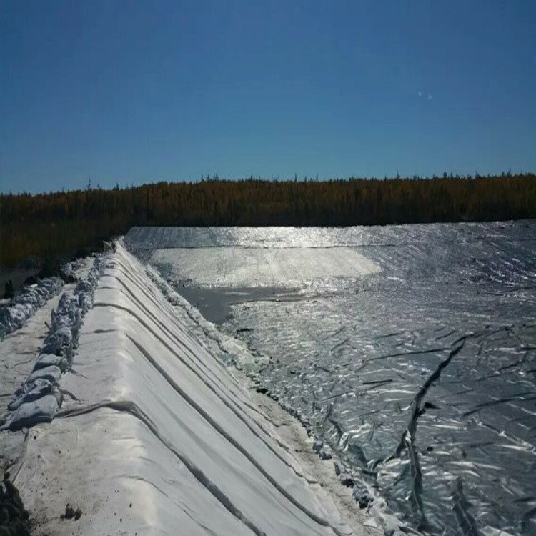 黑膜土工膜 加厚聚乙烯膜 一布一膜 游泳池房屋地基防潮膜