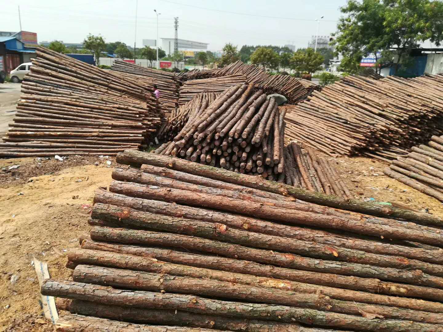 广东松木桩批发 林场直发直采 1-8米建筑松木桩 打桩木