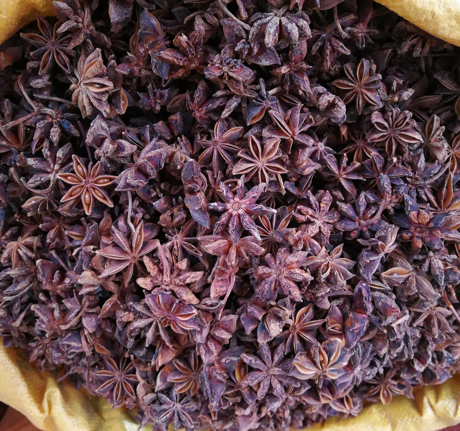 八角 大红八角 批发广西大红八角 大茴 八角茴香 大料 量大从优