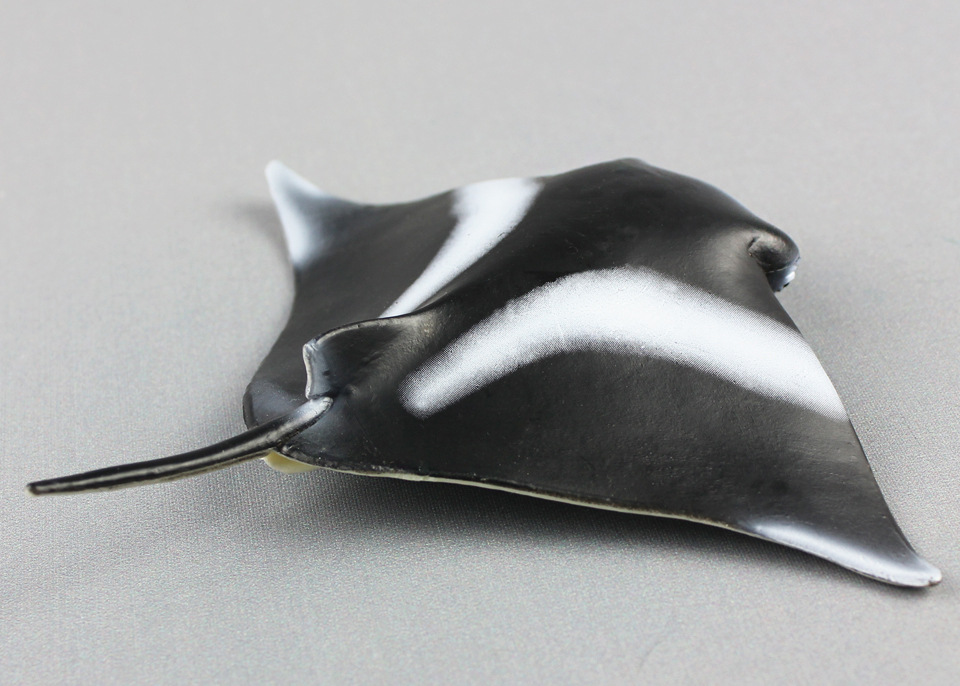 海洋生物模型魔鬼鱼蝠鲼儿童仿真静态塑胶实心动物玩具外贸货源