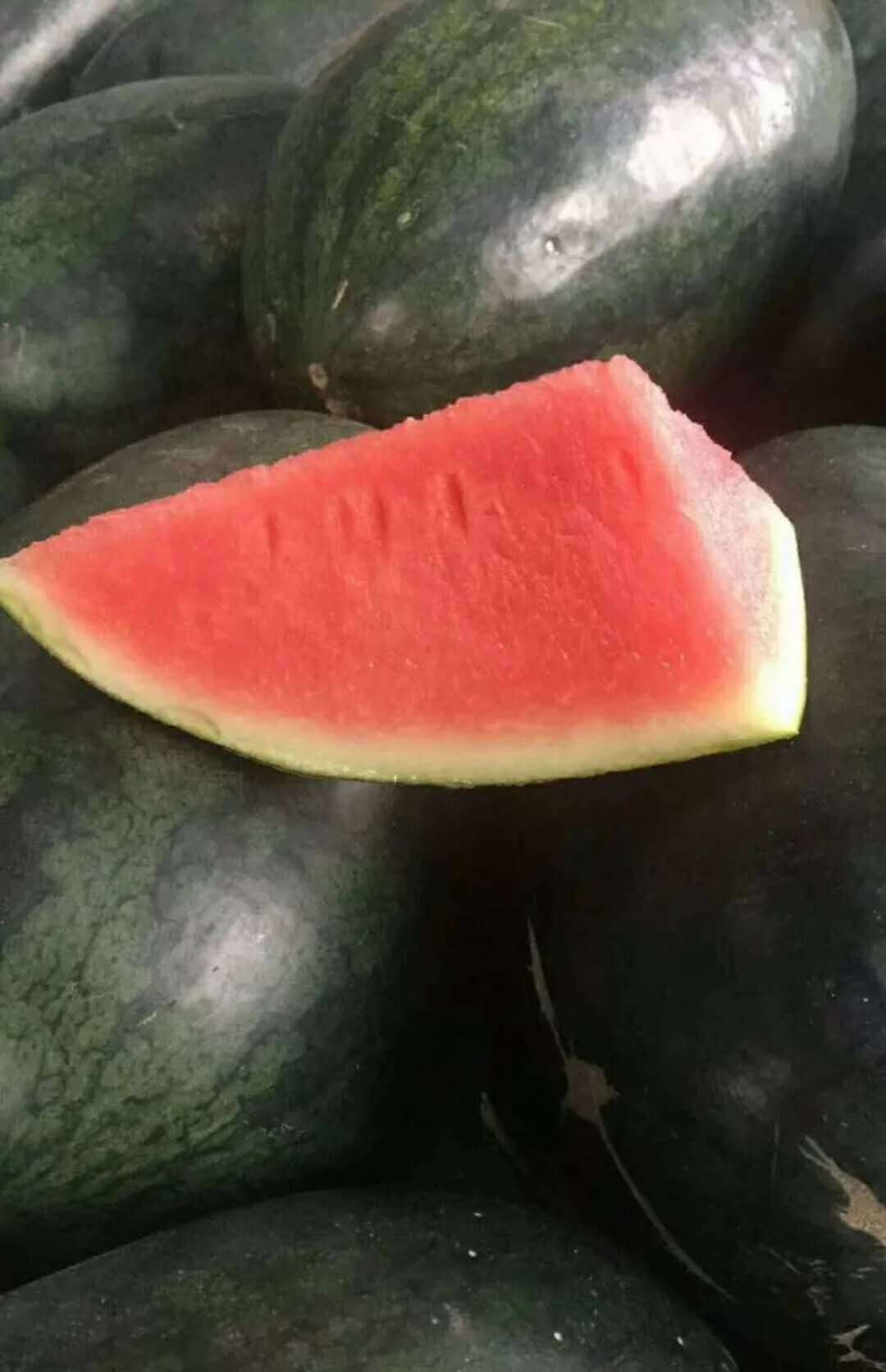 新鲜黑美人西瓜 越南黑美人 广西西瓜非甜瓜哈密瓜