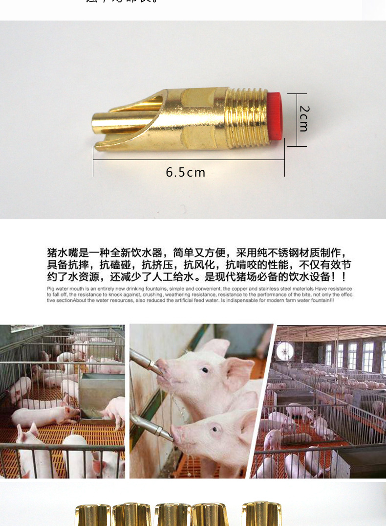 猪用饮水器 铜冒 加厚加大 猪水嘴咬嘴 不锈钢 全铜 全钢饮水嘴