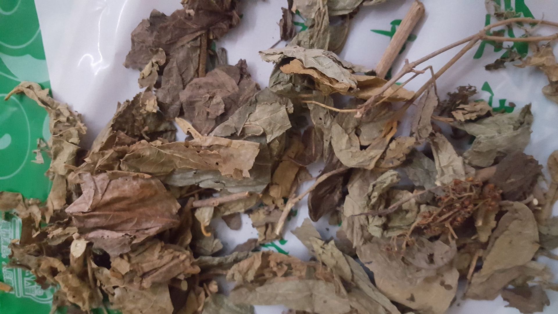 供应广东紫珠广东紫珠叶紫珠草紫珠柴量大从优