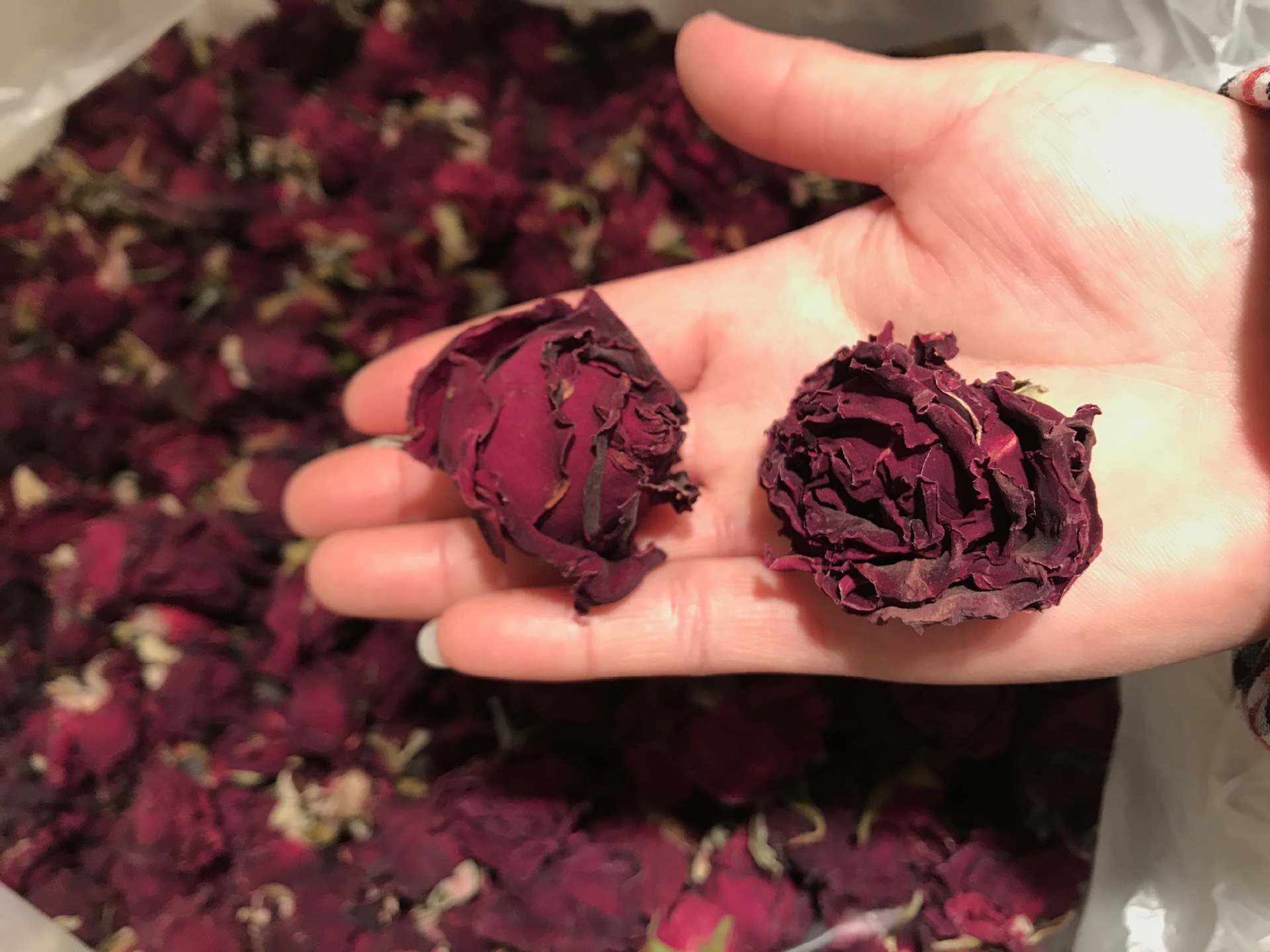 墨红玫瑰干花 墨红烘干玫瑰 烤干玫瑰 墨红玫瑰花茶 云南特产