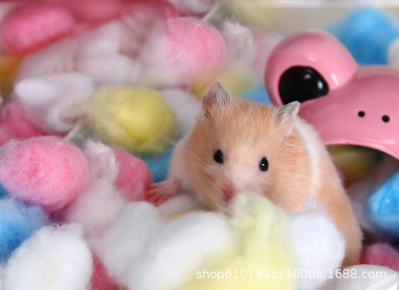 粉色100粒,黄色100粒,白色100粒是否专利货源否适用对象仓鼠  金丝熊